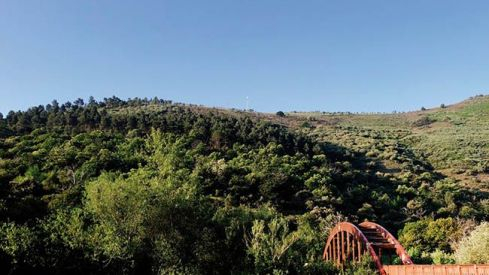 monte pajariel foto ayuntamiento ponferrada