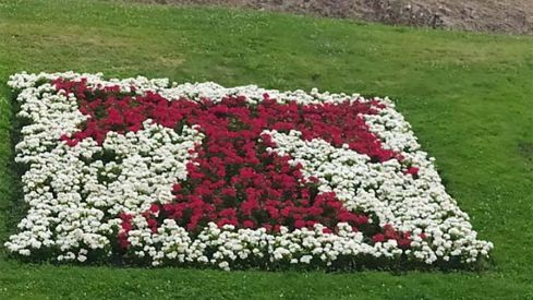 jardines ponferrada flores invierno