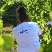 Vendimia en el Palacio de Canedo, Prada A Tope