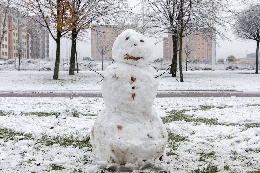 Primera Nevada Ponferrada 13 Ene 2018 900_19