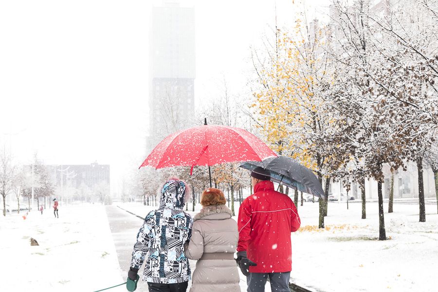 Primera Nevada Ponferrada 13 Ene 2018 900_25