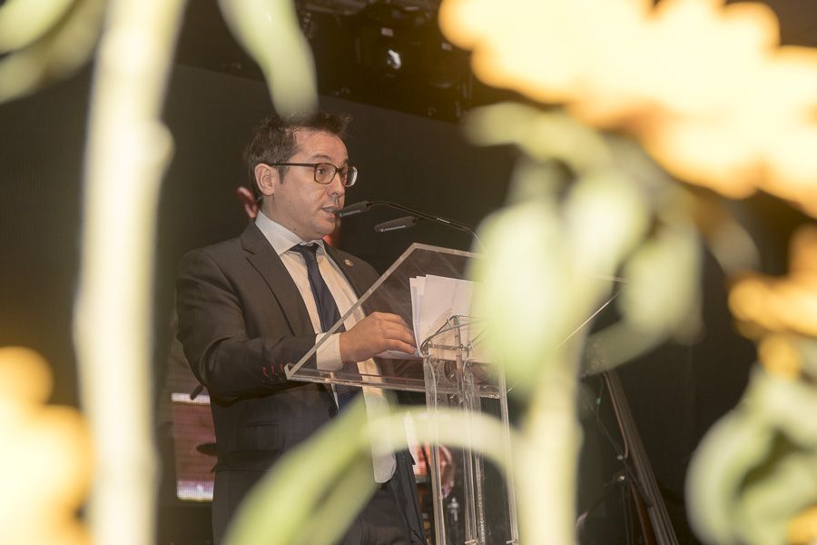 Botillo Bembibre Ayto Ene 2018 900_15