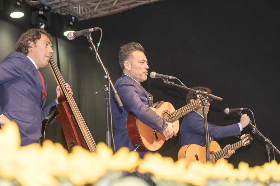 Botillo Bembibre Ayto Ene 2018 900_28