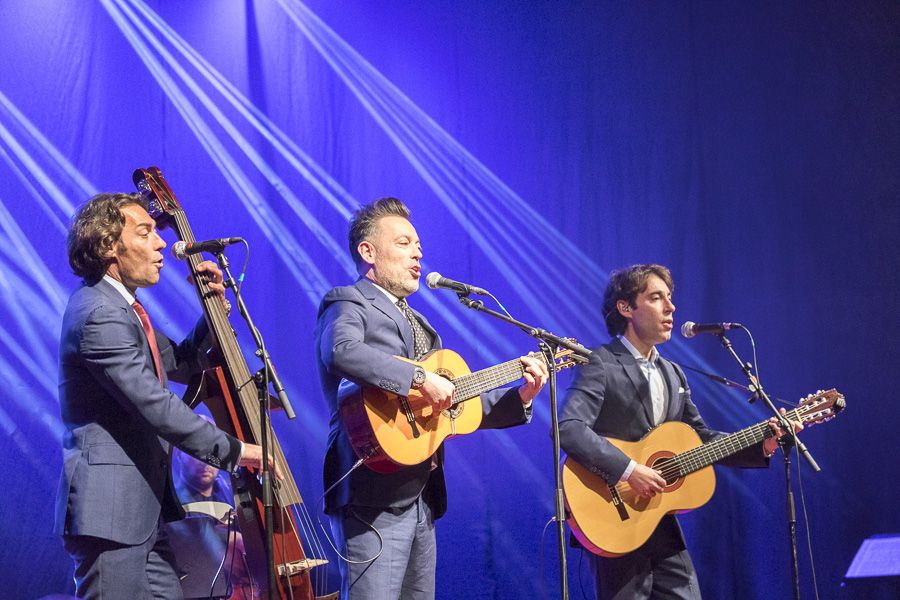 Botillo Bembibre Ayto Ene 2018 900_33