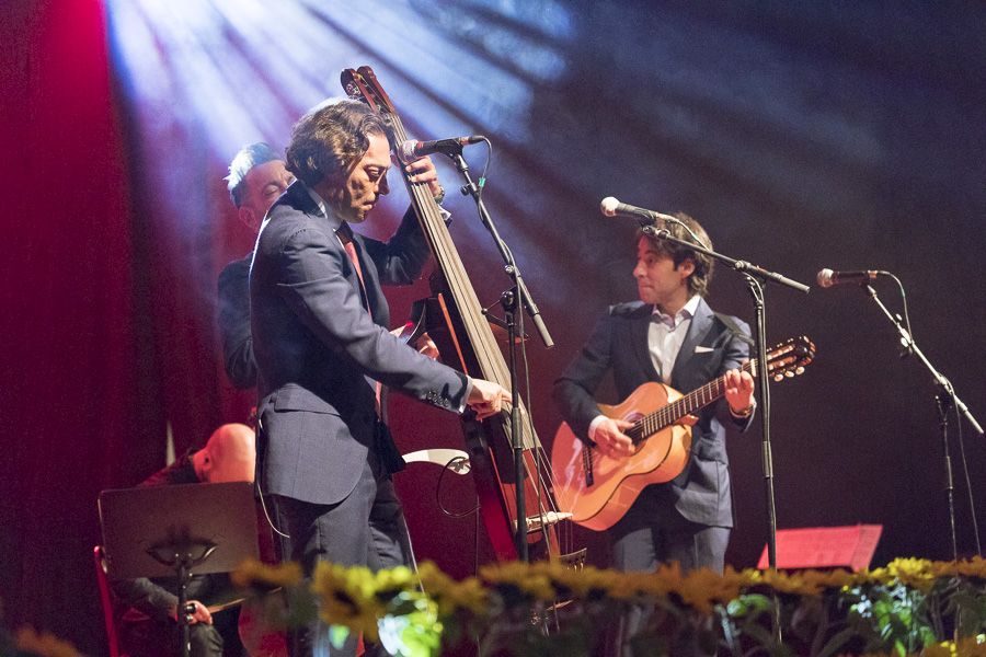 Botillo Bembibre Ayto Ene 2018 900_37