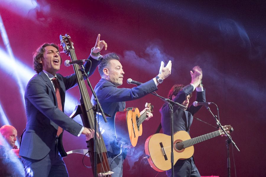 Botillo Bembibre Ayto Ene 2018 900_40