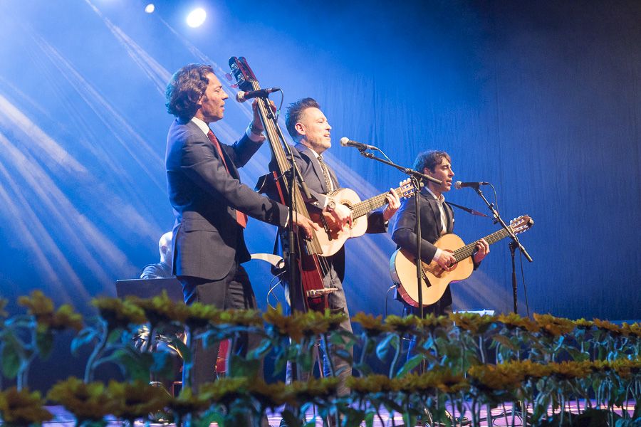 Botillo Bembibre Ayto Ene 2018 900_44