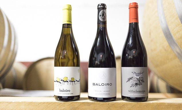 Bodega Luz Divina Amigo 19 Ene 2018_6