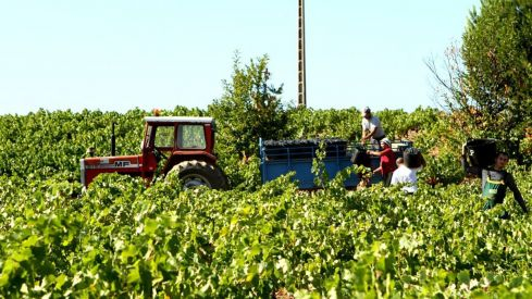 Banco de Tierras del Bierzo