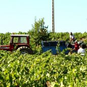 Banco de Tierras del Bierzo