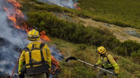 incendio camponaraya