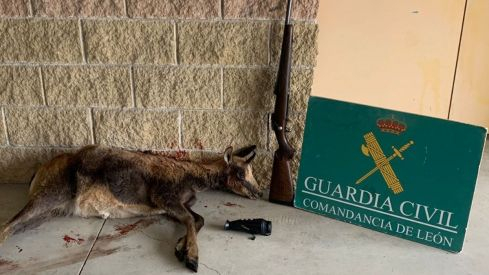 cazadores furtivos balboba