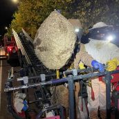 La avispa asiática incide ya en la carga de trabajo de los Bomberos de Ponferrada con 175 intervenciones en 2023 La avispa asiática incide ya en la carga de trabajo de los Bomberos de Ponferrada con 175 intervenciones en 2023