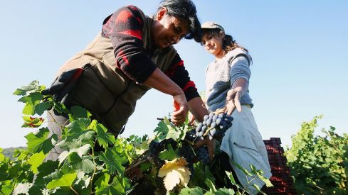 Día de la Mujer Rural | 9 municipios del Bierzo y Laciana acogerán el proyecto 'Empodérate' para lograr la participación de las mujeres en su entorno social