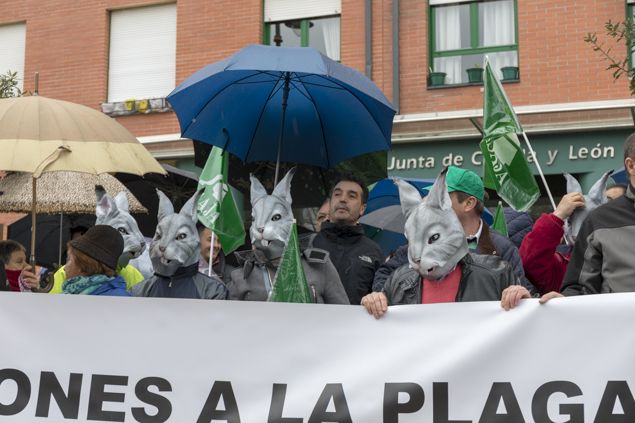 Manifestacion Plaga de Conejos Junta Marzo 2018_1
