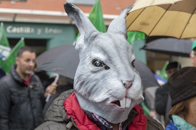 Manifestacion Plaga de Conejos Junta Marzo 2018_3