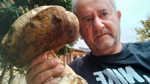 setas bierzo medulas borrenes