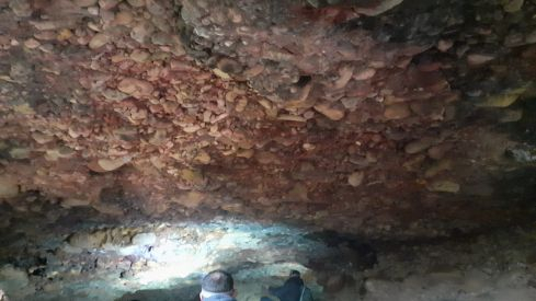 fc5446c2-24d0-4017-aaef-4645aee84eea