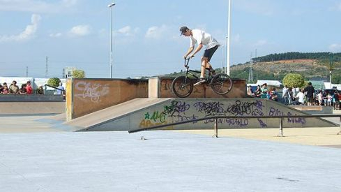 Álbum VII Campeonato de Skate y BMX Encina 2013