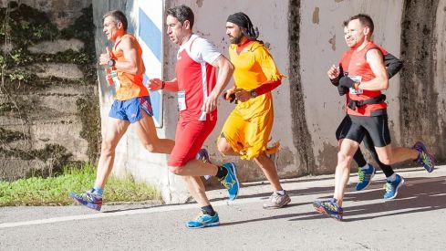 Dragomán 2013