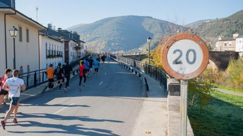 Dragomán 2013
