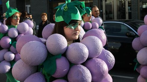 Carnaval de Cacabelos 2014
