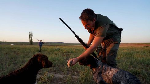 Caza | Los cazadores de Castilla y León rechazan un control telemático de las capturas efectuadas en los cotos