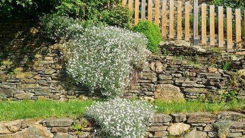 PASEOS DE PRIMAVERA: VALDECANADA 280421