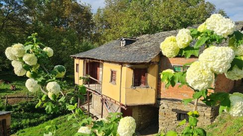 PASEOS DE PRIMAVERA: VALDECANADA 280421