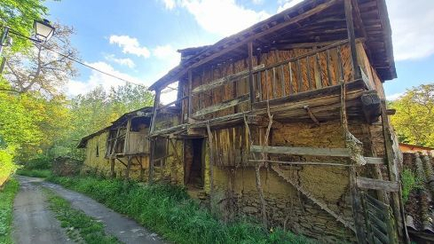 PASEOS DE PRIMAVERA: VALDECANADA 280421