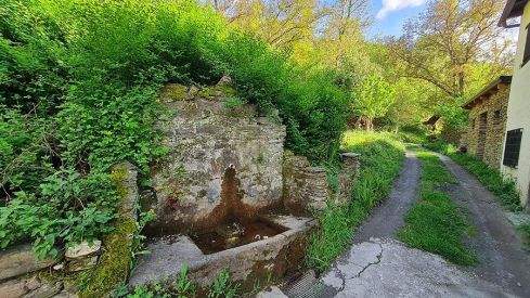 PASEOS DE PRIMAVERA: VALDECANADA 280421