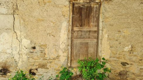 PASEOS DE PRIMAVERA: VALDECANADA 280421