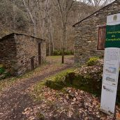 La Herería de Compludo abre por el Día de Castilla y León