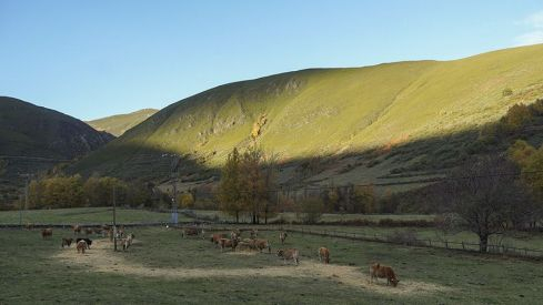 VALLEDEFORNELA VALLEDEFORNELA