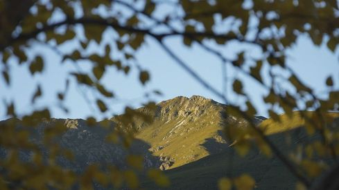 VALLEDEFORNELA VALLEDEFORNELA