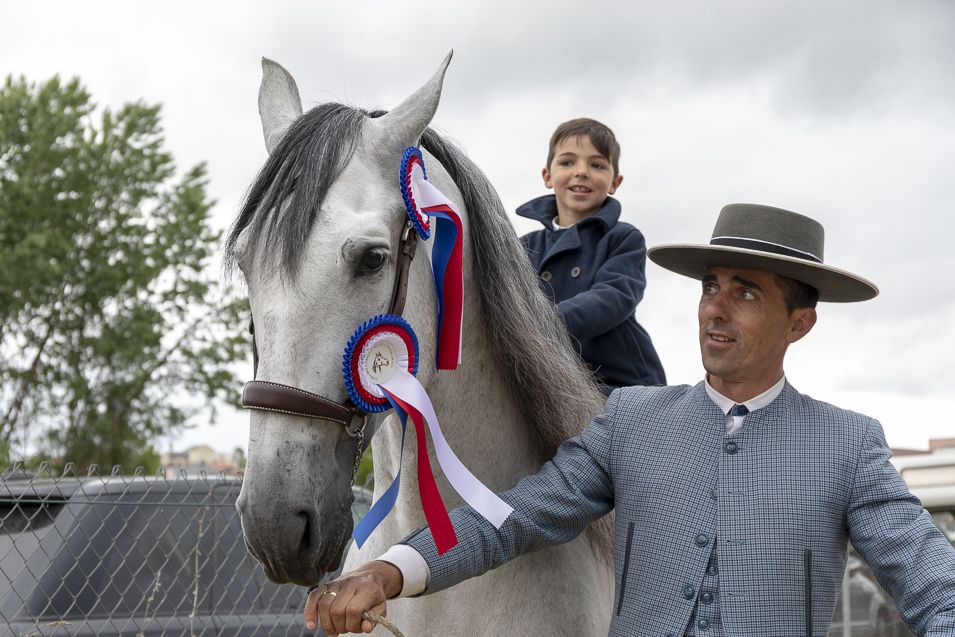 Feria-del-Caballo-Camponaraya-13-Mayo-2018-955_8