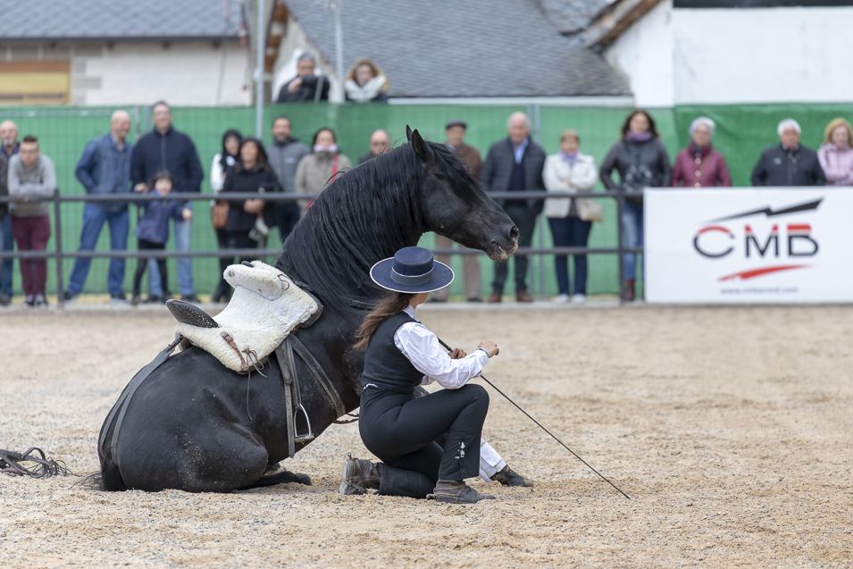 Feria-del-Caballo-Camponaraya-13-Mayo-2018-955_16