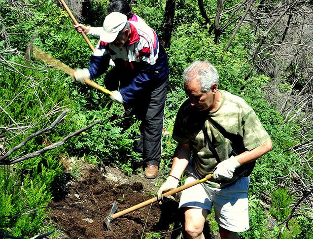 promonumenta635.jpg3