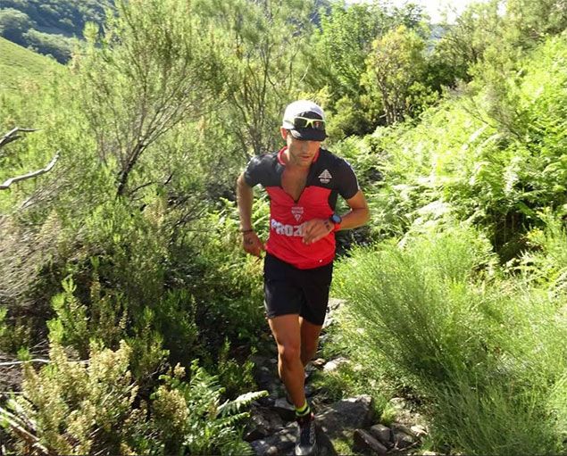 catoute-vertical-635