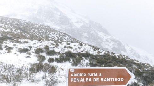 Nevada 1 Febrero 2019