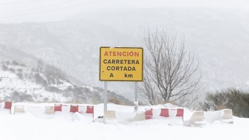 Nevada 1 Febrero 2019