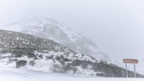 Nevada 1 Febrero 2019