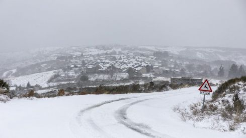 Nevada 1 Febrero 2019