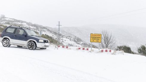 Nevada 1 Febrero 2019