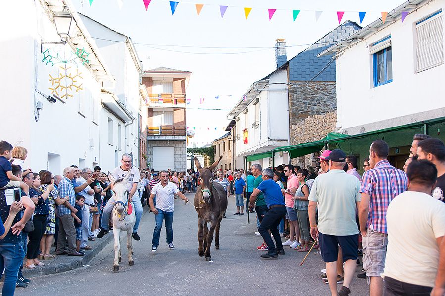 CARRERA DE BURROS_17