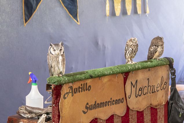 Mercadillo Medieval Fiestas de La Encina Ponferrada 2018 635_22