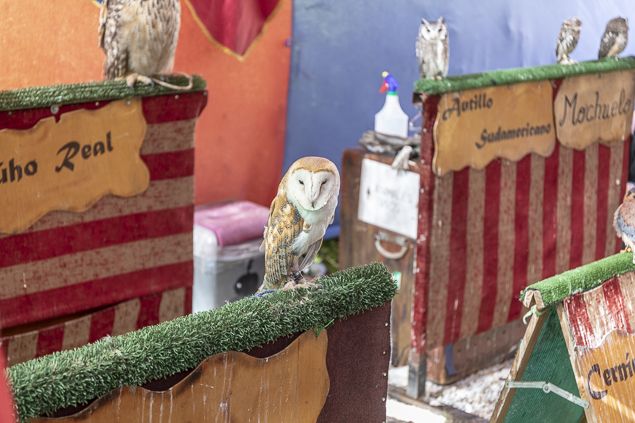 Mercadillo Medieval Fiestas de La Encina Ponferrada 2018 635_23