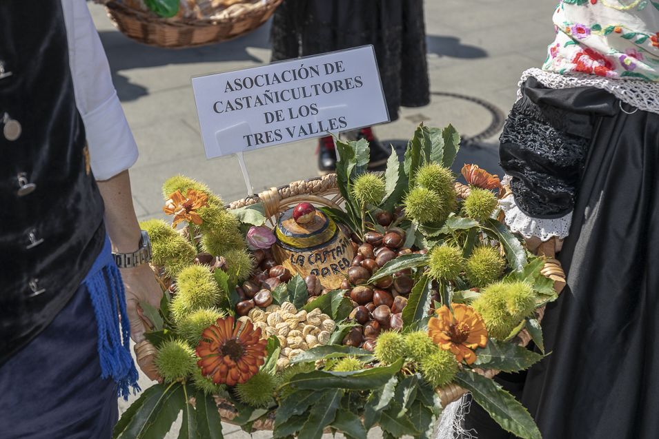 Dia del Bierzo Fiestas de La Encina Ponferrada 2018 955_16