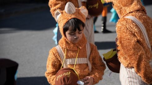 Carnavales vega de espinareda 2019