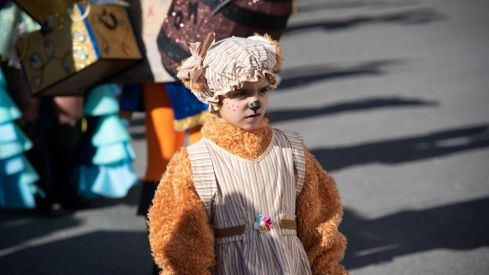 Carnavales vega de espinareda 2019
